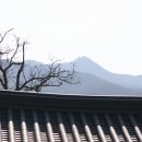 후소당 이미지