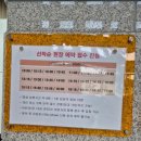 국립공주박물관 디지털 실감 영상관 후기