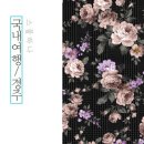 경주십원빵첨성대 이미지