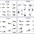 새순천한방병원