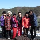 청송양수홍보관 Daum카페