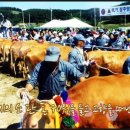 정주영농장 이미지