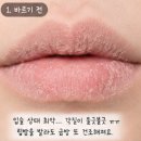 발라 | 에스쁘아 세레나데 각질 부각될까? 건조한 입술에 직접 발라본 후기