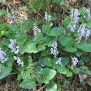 오동수원지 이미지