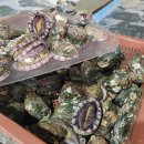 [8월23일] 민어(마지막구매적기),왕새우,꽃게,덕자,서대,손질병어,활전복 이미지