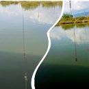 새마을낚시터 | 토코 참쉬운채비 사용기 (2025. 10.25., 새마을낚시터)