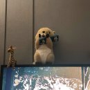 대빵인형뽑기 잠실새내점 이미지