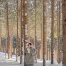 시에스코 이미지