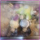 바다회해산물 이미지