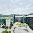 고려대학교 이미지