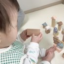 감성발달 꼼이놀이(8~12개월) | 8개월 아기 소근육 발달 원목 장난감 피에스타 파스텔 나무 동물 블록 솔직 후기
