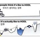 셀빅스