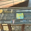 벌교센터-1 이미지