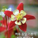 건강해요