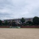 백산초교 이미지