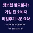 한국양봉농협 동물병원 | 펫보험 필요할까? 가입 전 소비자 리얼후기 5분 요약