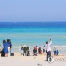 푸른제주 이미지