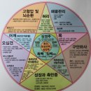 백세튼튼치유하우스