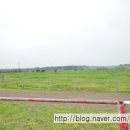 오케이승마장 이미지