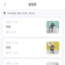 위위그루밍 이미지