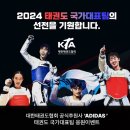 한양대 올림픽 태권도 이미지
