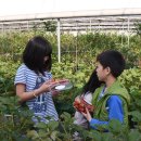 함께하는 농장 이미지