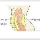 손톱모양 이미지
