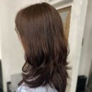 바오헤어(Bao hair)