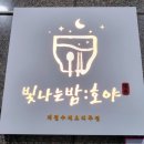 빛나는밤호야