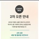 [리뷰] 첨이첨이 랜덤박스 럭키박스 남아 구매 후기 / 무배 팁