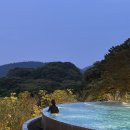 에코랜드 | [제주도 숙소 추천] 6월 10만원대 다녀온 "에코랜드" 내돈내산 후기