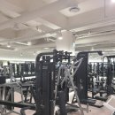 라인업피트니스 이미지