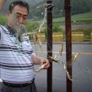 모모별장 이미지