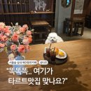 섬타르 서울숲 | 🍰 서울숲 나들이 후 들른 성수동 실내 애견동반 타르트카페 ‘섬타르’ 후기🐶☕