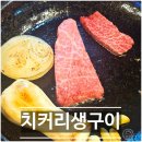 한우사랑(2) | [속초] 치커리생구이, 웨이팅도 납득한 속초 한우 맛집! 한우모둠세트2 후기