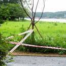 은파호수공원 9-8 이미지