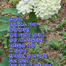 길과일 이미지