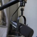 슈어매니지먼트