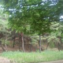 상리공원 이미지