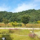 메뚜기 펜션 이미지