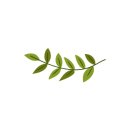 이스트사이드치킨샌드위치 이미지