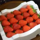 다온 펫 살롱 이미지