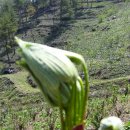 태권농장 이미지