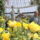 이서초등학교 이미지