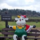 아담 목장 이미지