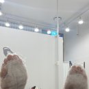 무비드