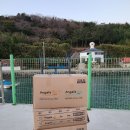 두나펫 코리아 네이버블로그