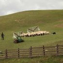 에코목장 이미지