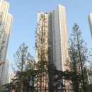 그린스퀘어 공인중개사사무소 이미지
