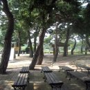 솔빛아래 이미지